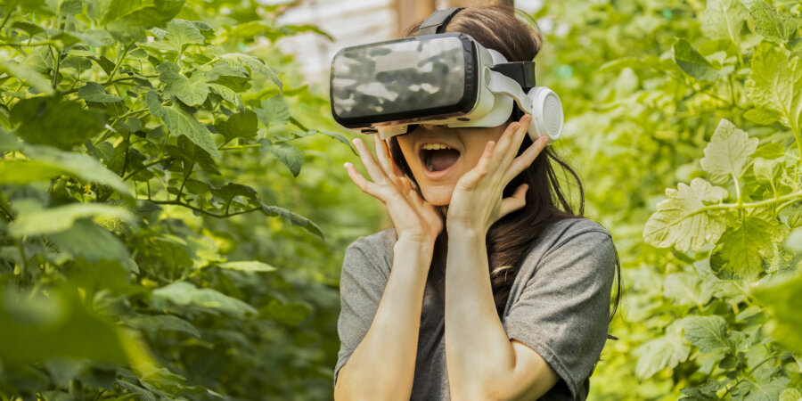 Cómo la transición verde impulsa empleos sostenibles y aborda la crisis climática